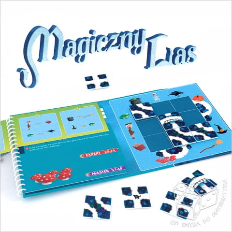 Magiczny las - Magnetyczna gra logiczna