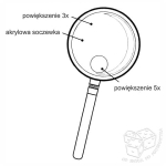 Lupa - szkło powiększające ×3 i ×5