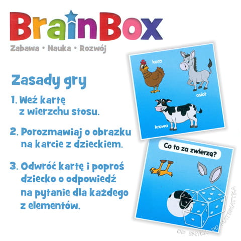Poznaję zwierzęta - BrainBox