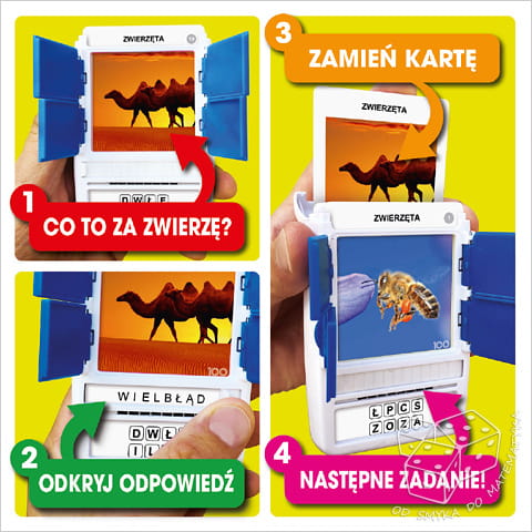 100 Pics - zwierzęta