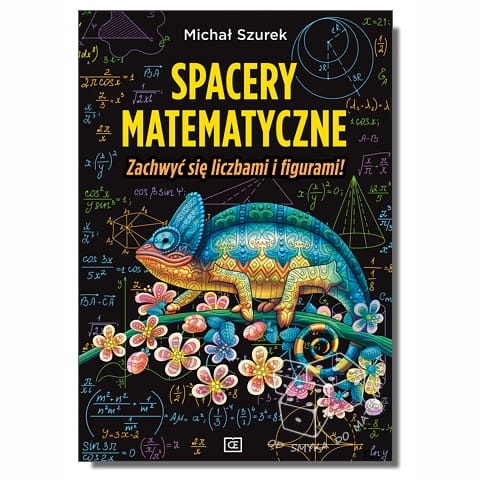 Spacery matematyczne. Zachwyć się liczbami i figurami!