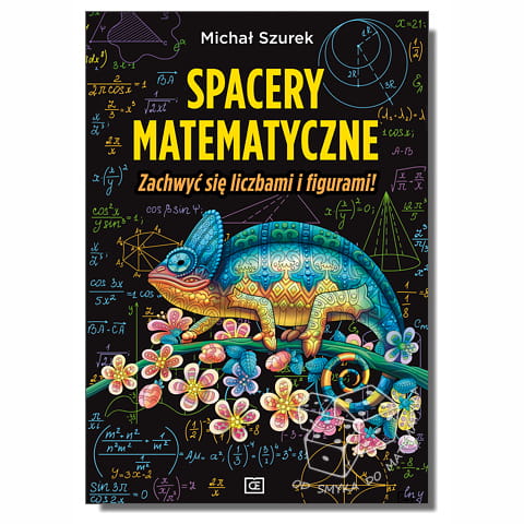 Spacery matematyczne. Zachwyć się liczbami i figurami!