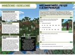 Minecraft. Matematyka. Megazadania. 12+