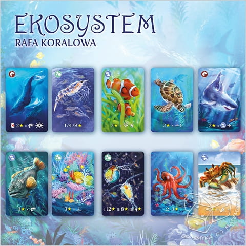 Ekosystem 2 – Rafa koralowa