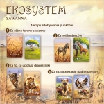 Ekosystem 3 – Sawanna