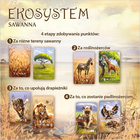 Ekosystem 3 – Sawanna