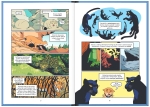 Koty – natura i wychowanie. NAUKOMIKS