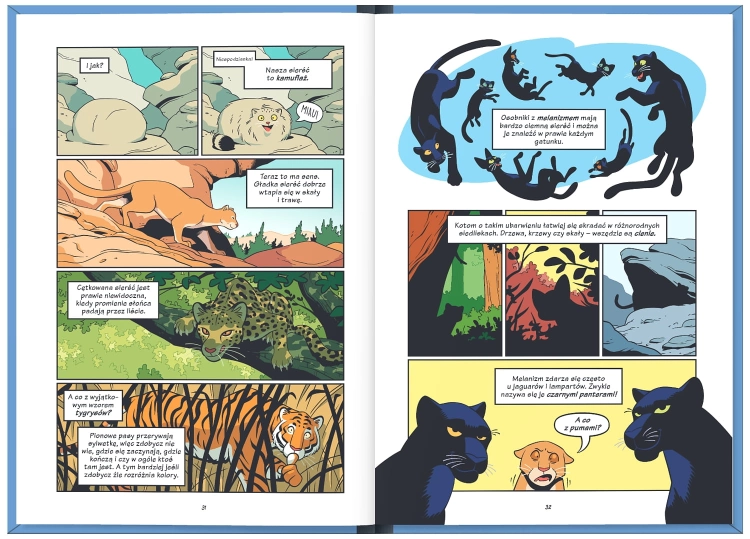 Koty – natura i wychowanie. NAUKOMIKS