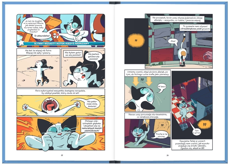 Koty – natura i wychowanie. NAUKOMIKS