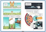 Koty – natura i wychowanie. NAUKOMIKS