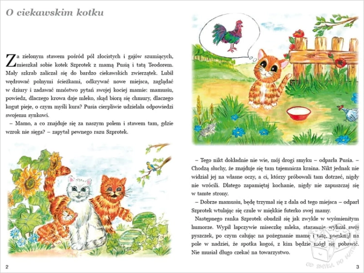 PUS - Czytanie ze zrozumieniem 3. O ciekawskim kotku