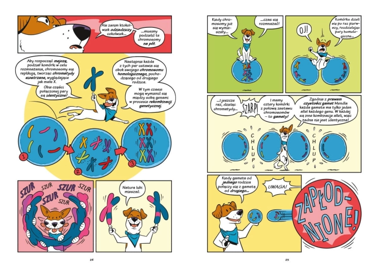 Psy – od drapieżników do obrońców. NAUKOMIKS