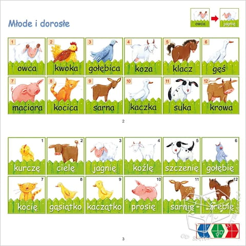 PUS - Idę do szkoły 4 - doskonalenie koncentracji i logicznego myślenia