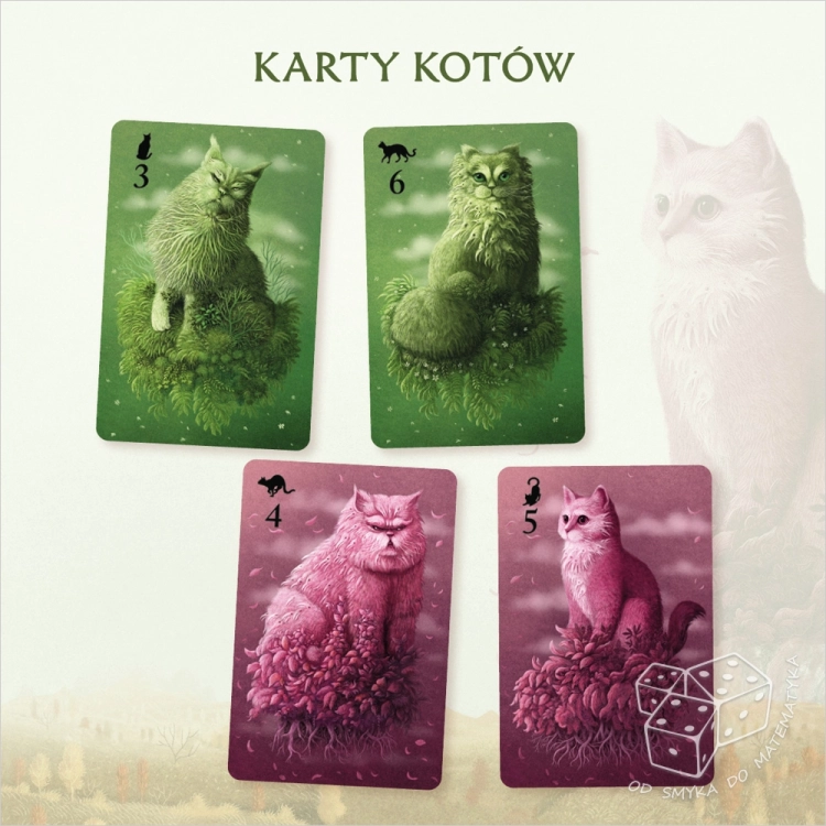 Koty