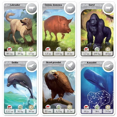CardLine. Zwierzęta – przykładowe karty