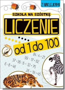 Liczenie od 1 do 100. Szkoła na szóstkę